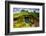 Front Door of a Hobbit House, Hobbiton, North Island, New Zealand, Pacific-Laura Grier-Framed Photographic Print