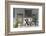 Front Porch-Orah Moore-Framed Giclee Print