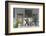 Front Porch-Orah Moore-Framed Giclee Print