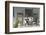 Front Porch-Orah Moore-Framed Giclee Print