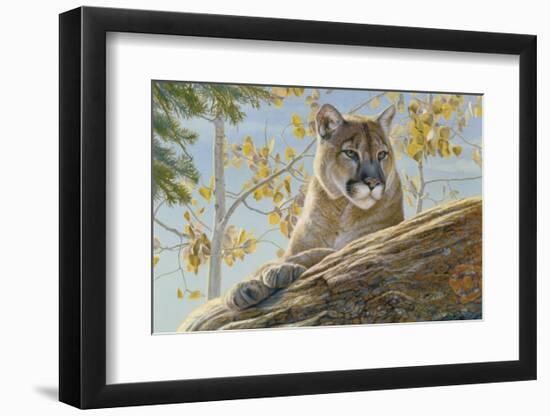 Front Range Cougar-Kalon Baughan-Framed Art Print