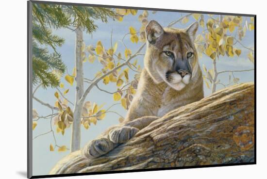 Front Range Cougar-Kalon Baughan-Mounted Art Print