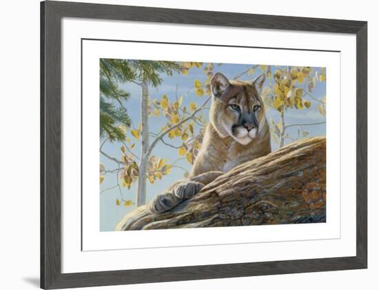 Front Range Cougar-Kalon Baughan-Framed Giclee Print