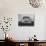 Front Shot of a German Made Opel Automobile-Ralph Crane-Photographic Print displayed on a wall