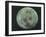 Front Side of the Moon, 22 July 1969-null-Framed Giclee Print