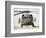 Front View of a UH-60L Black Hawk Helicopter-null-Framed Photographic Print