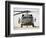 Front View of a UH-60L Black Hawk Helicopter-null-Framed Photographic Print
