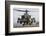 Front View of an Ah-64D Saraf Helicopter of the Israeli Air Force-Stocktrek Images-Framed Photographic Print