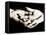 Front View of Cupped Hands Held Together-Cristina-Framed Premier Image Canvas