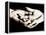 Front View of Cupped Hands Held Together-Cristina-Framed Premier Image Canvas