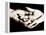 Front View of Cupped Hands Held Together-Cristina-Framed Premier Image Canvas