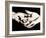 Front View of Cupped Hands Held Together-Cristina-Framed Photographic Print