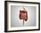 Front View of Human Digestive System-null-Framed Art Print