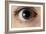 Front View of Human Eye with Dilated Pupil-Adam Hart-Davis-Framed Photographic Print