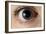 Front View of Human Eye with Dilated Pupil-Adam Hart-Davis-Framed Photographic Print