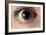 Front View of Human Eye with Dilated Pupil-Adam Hart-Davis-Framed Photographic Print