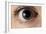 Front View of Human Eye with Dilated Pupil-Adam Hart-Davis-Framed Photographic Print