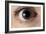 Front View of Human Eye with Dilated Pupil-Adam Hart-Davis-Framed Photographic Print