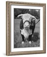 Front View Showing T. Royal Rupert-Walter Sanders-Framed Photographic Print