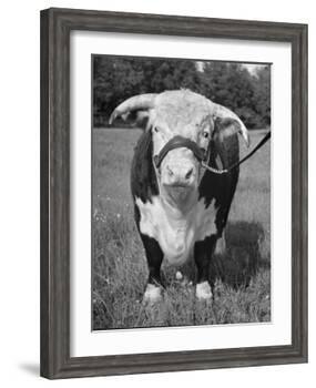 Front View Showing T. Royal Rupert-Walter Sanders-Framed Photographic Print