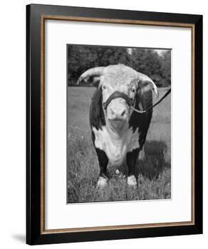 Front View Showing T. Royal Rupert-Walter Sanders-Framed Photographic Print