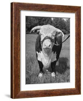 Front View Showing T. Royal Rupert-Walter Sanders-Framed Photographic Print