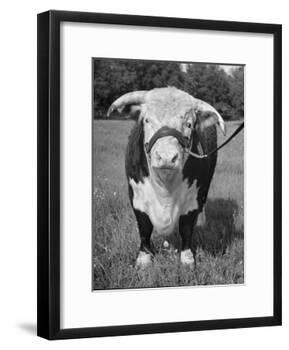 Front View Showing T. Royal Rupert-Walter Sanders-Framed Photographic Print