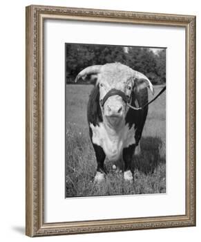 Front View Showing T. Royal Rupert-Walter Sanders-Framed Photographic Print
