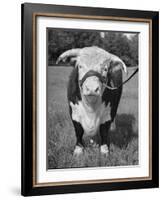 Front View Showing T. Royal Rupert-Walter Sanders-Framed Photographic Print