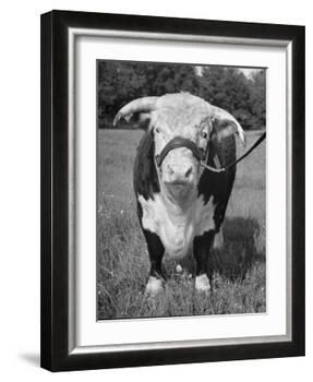 Front View Showing T. Royal Rupert-Walter Sanders-Framed Photographic Print