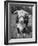 Front View Showing T. Royal Rupert-Walter Sanders-Framed Photographic Print