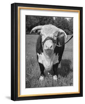 Front View Showing T. Royal Rupert-Walter Sanders-Framed Photographic Print