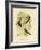 Frontal Shrike-Tit or Crested Shrike-Tit, 1891-Gracius Broinowski-Framed Giclee Print