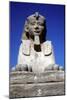 Frontal View of Sphinx from the Avenue of Sphinxes, Temple Sacred to Amun Mut and Khons, Luxor, Egy-CM Dixon-Mounted Photographic Print
