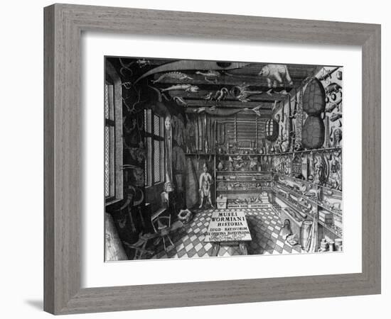 Frontispiece of Ole Worm's Cabinet of Curiosities from 'Museum Wormianum' by Ole Worm-G. Wingendorp-Framed Giclee Print