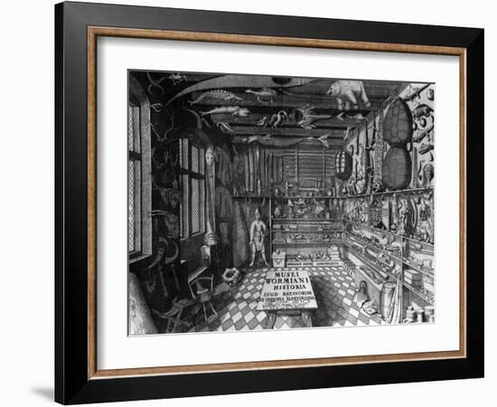 Frontispiece of Ole Worm's Cabinet of Curiosities from 'Museum Wormianum' by Ole Worm-G. Wingendorp-Framed Giclee Print