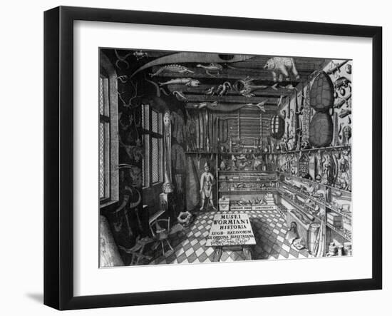 Frontispiece of Ole Worm's Cabinet of Curiosities from 'Museum Wormianum' by Ole Worm-G. Wingendorp-Framed Giclee Print