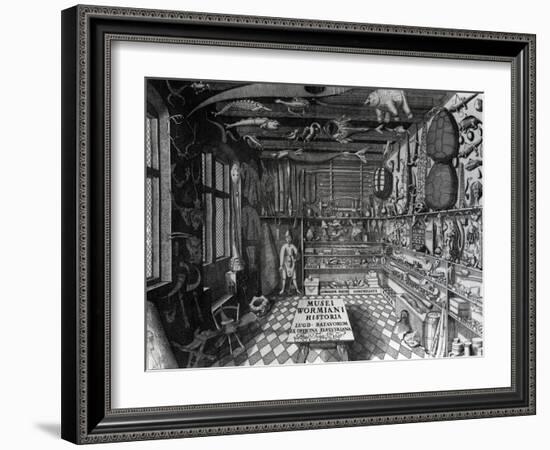 Frontispiece of Ole Worm's Cabinet of Curiosities from 'Museum Wormianum' by Ole Worm-G. Wingendorp-Framed Giclee Print