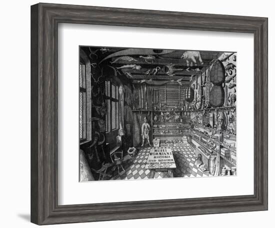 Frontispiece of Ole Worm's Cabinet of Curiosities from 'Museum Wormianum' by Ole Worm-G. Wingendorp-Framed Giclee Print