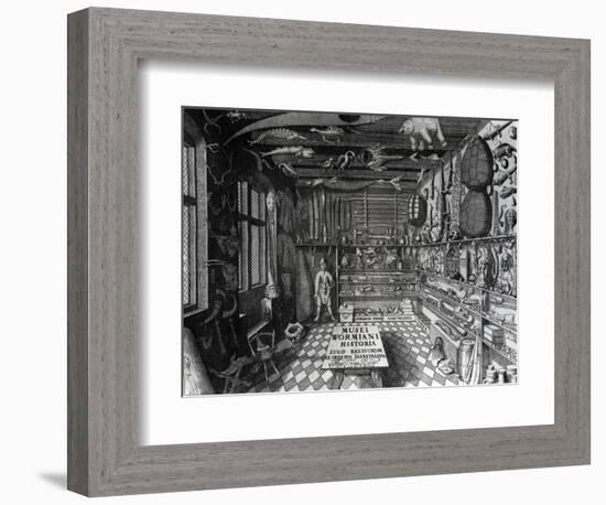 Frontispiece of Ole Worm's Cabinet of Curiosities from 'Museum Wormianum' by Ole Worm-G. Wingendorp-Framed Giclee Print