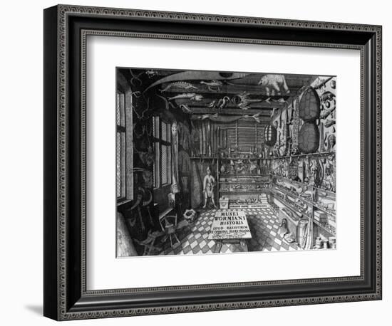 Frontispiece of Ole Worm's Cabinet of Curiosities from 'Museum Wormianum' by Ole Worm-G. Wingendorp-Framed Giclee Print