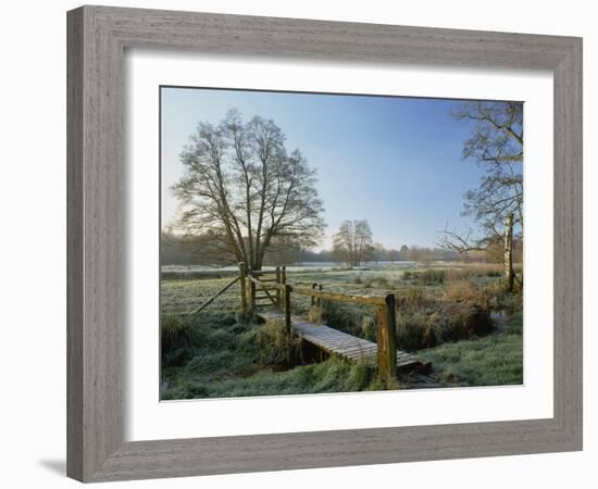 Frost at Thundery Meadows, Elstead, Surrey, England, UK-Pearl Bucknall-Framed Photographic Print