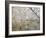 Frost-Covered Birch Trees, Town of Cakovice, Prague, Czech Republic, Europe-Richard Nebesky-Framed Photographic Print