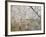 Frost-Covered Birch Trees, Town of Cakovice, Prague, Czech Republic, Europe-Richard Nebesky-Framed Photographic Print