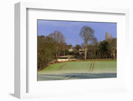 Frost covered farmland, Marlfield Village, County Tipperary, Republic of Ireland, Europe-Richard Cummins-Framed Photographic Print