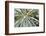 frost-covered Lupinus leaves-Waldemar Langolf-Framed Photographic Print