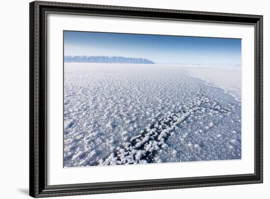 Frost Flowers Formed on Thin Sea Ice When the Atmosphere Is Much Colder Than the Underlying Ice-Louise Murray-Framed Photographic Print
