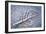 Frost on Alder Leaves 2-Don Paulson-Framed Giclee Print