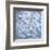 Frost on Alder Leaves 5-Don Paulson-Framed Giclee Print