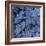 Frost on Leaves-John Miller-Framed Photographic Print